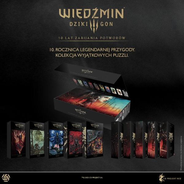 Książki o Wiedźminie