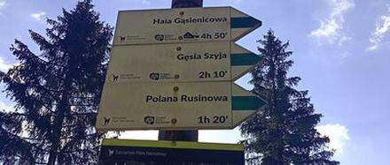 Taktyka walki Wiedźmin 3
