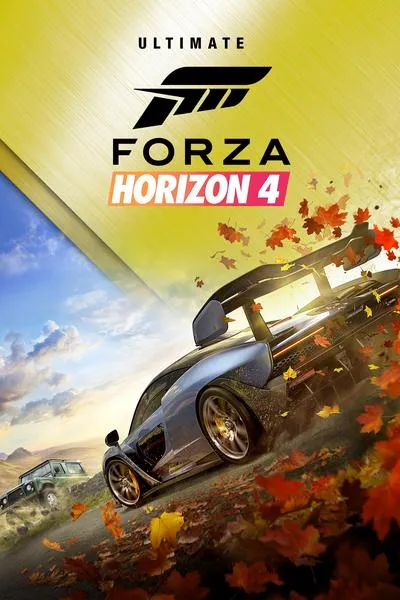 Ustawienia kierownicy Forza Horizon