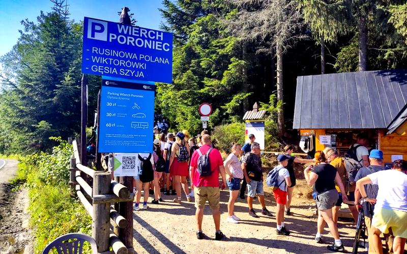 Wiedźmin 3 poroniec